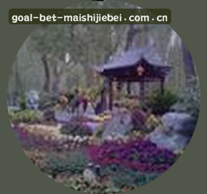 马丽